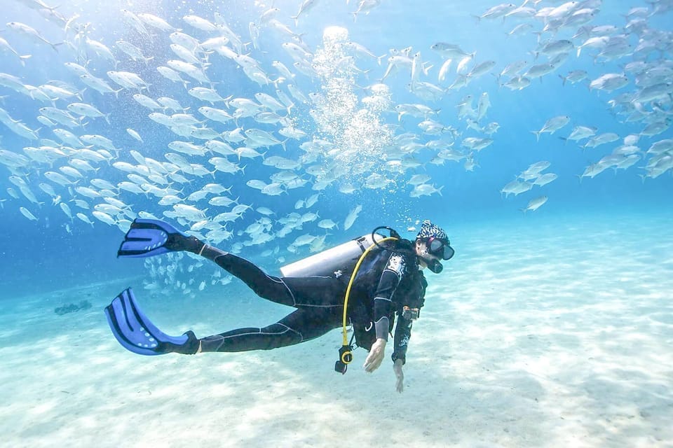 Indian Engineer Dies in Scuba Diving Accident at Dubai's Jumeirah Beach During Eid Holidays