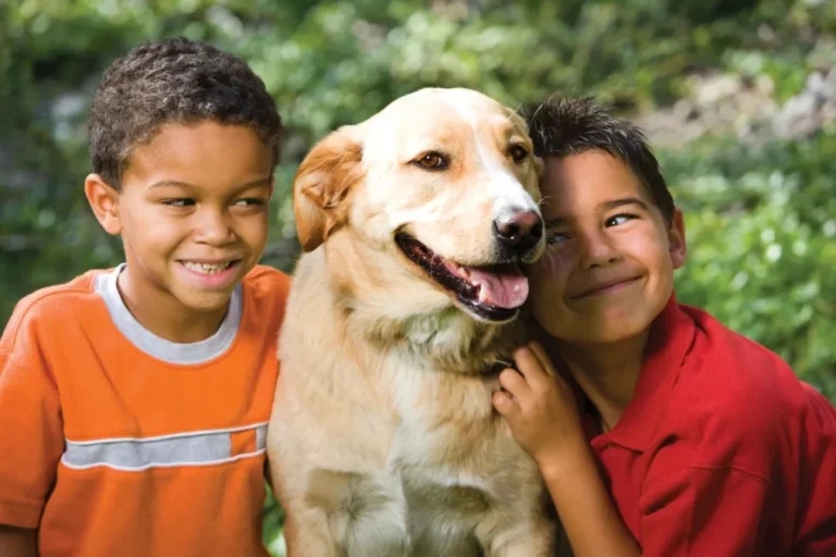 Official Dh1,000 fine notice for failing to meet Abu Dhabi pet registration mandatory rules.