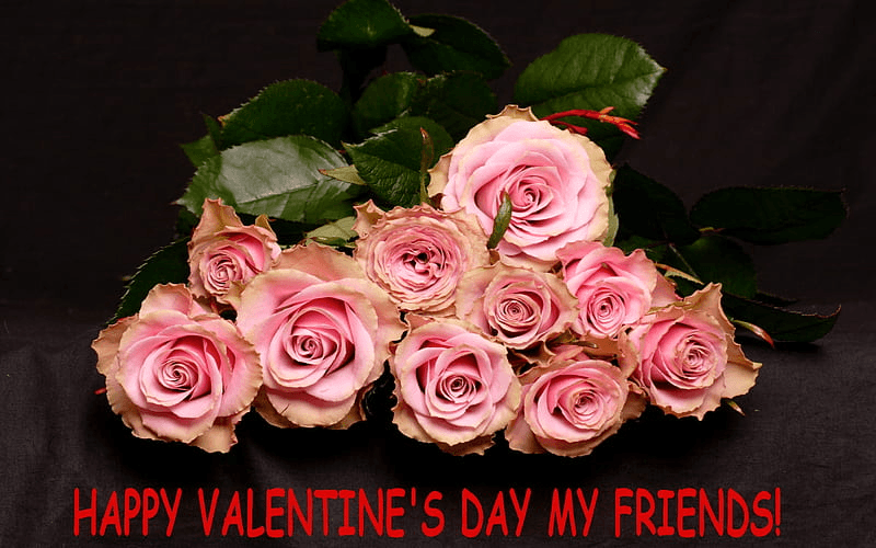 Friends Valentine's Day wishes and quotes on floral background